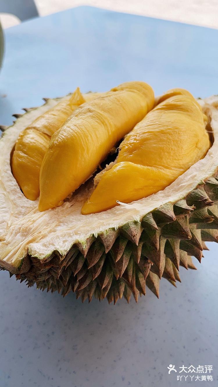 印度队绝杀马来西亚队，黄鸭组合高光表现的简单介绍